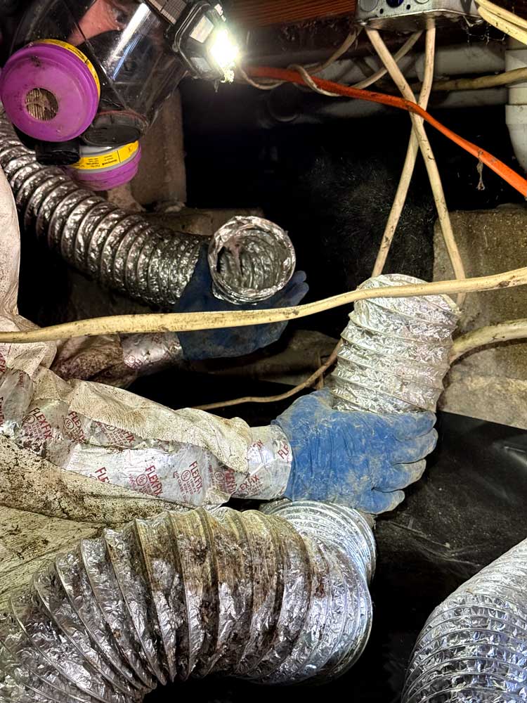 HVAC ductwork inspected during real estate mold removal in Indianapolis, IN