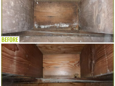 Before And After