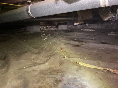 Mold In Crawl Space