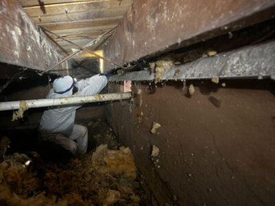 Removing Mold