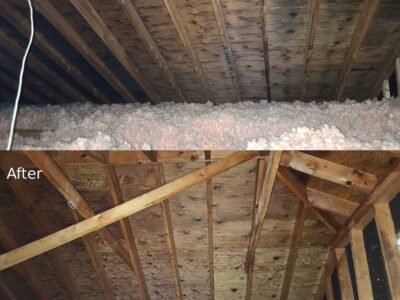 Removing Mold Before After