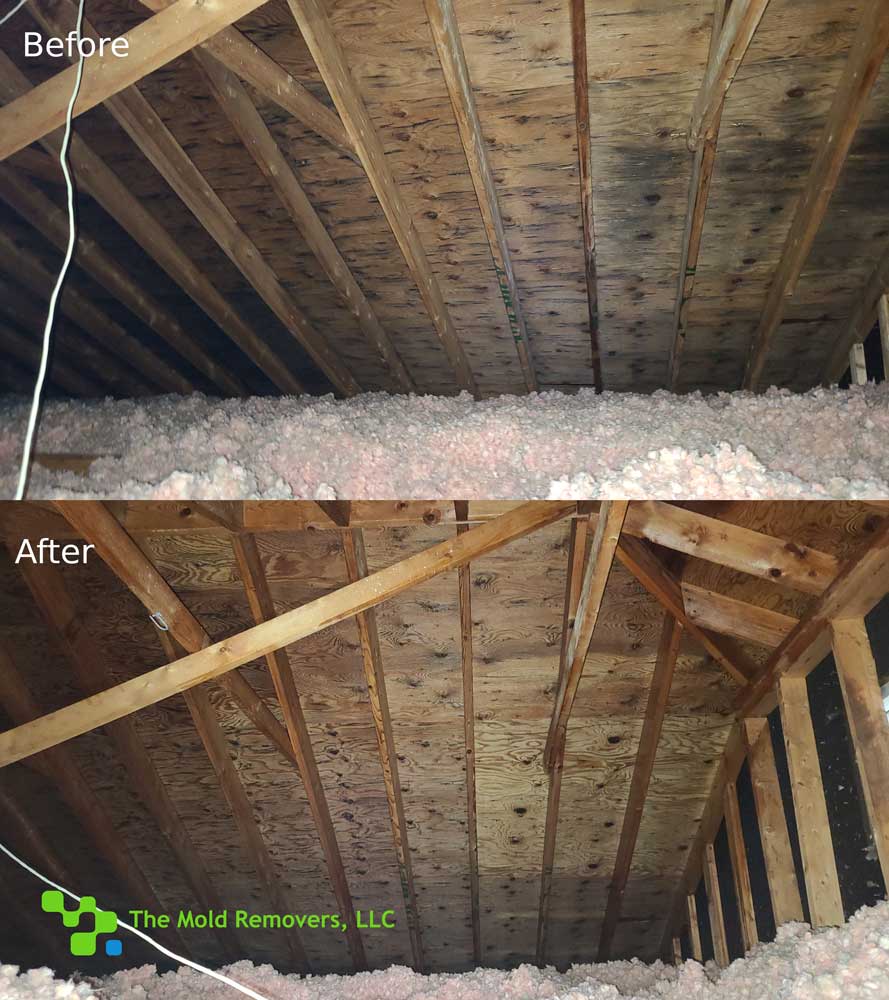 Removing Mold Before After