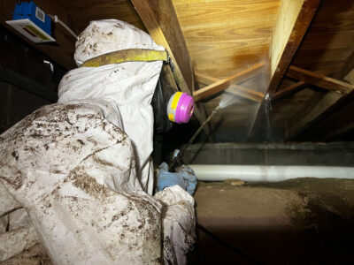 Spraying Attic