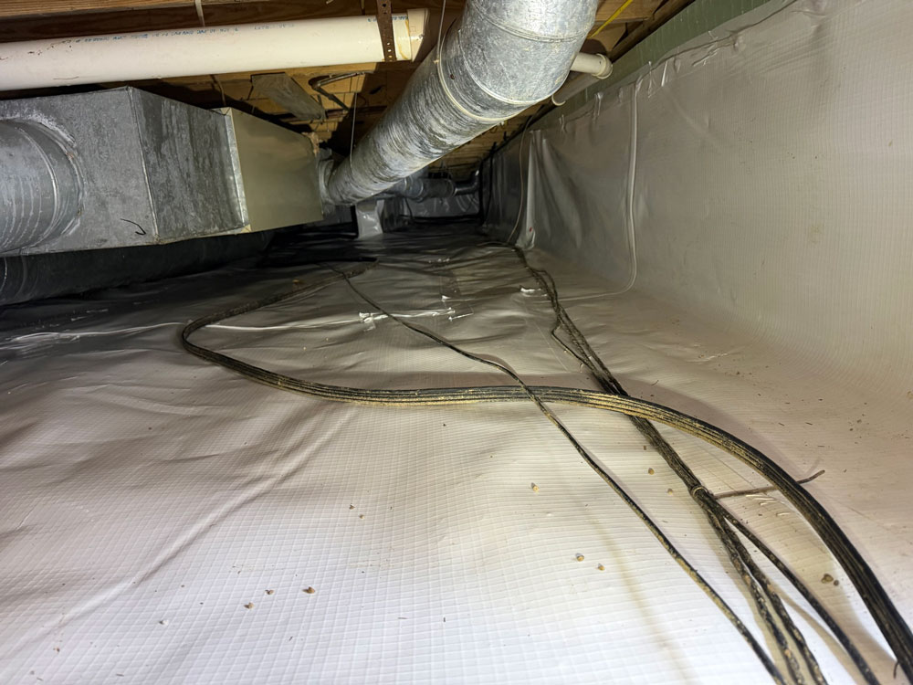 Electrical wiring inspected during mold removal services in Indianapolis, IN