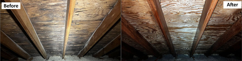 Wood Before After